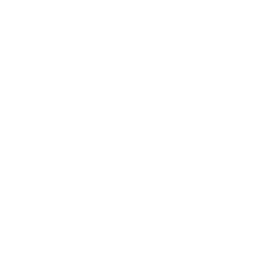 SDV